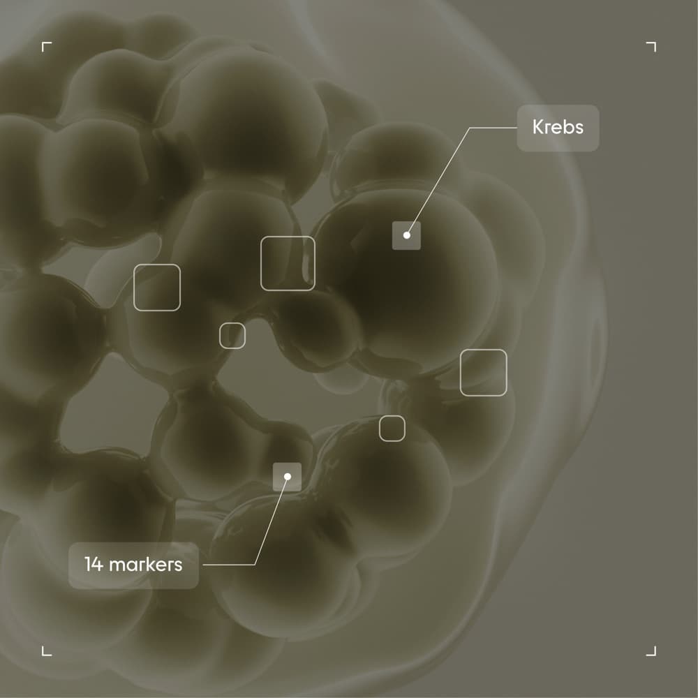 Krebs-Erkrankung