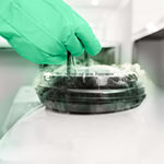 YEARS-Biological-Safe