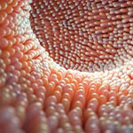 YEARS-Mikrobiom-Analyse