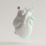 YEARS-Herz-Ultraschall